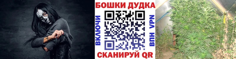 Где купить Арамиль Гашиш  Канабис  СОЛЬ  Мефедрон 