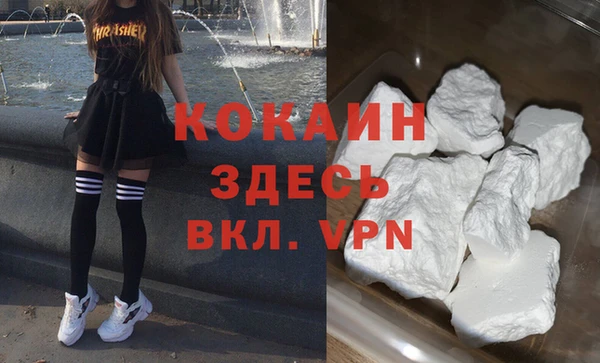 мет Алексин