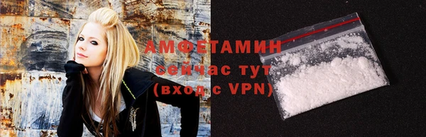 мет Алексин
