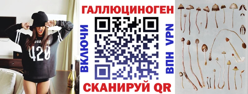 где можно купить   Арамиль  Галлюциногенные грибы Psilocybine cubensis 